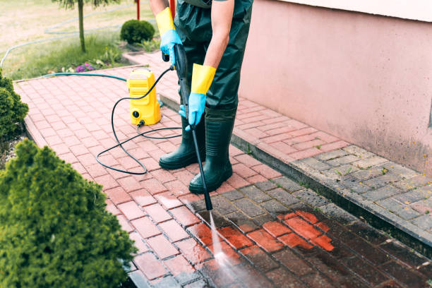 Animal Enclosure Cleaning in Pickerington, OH